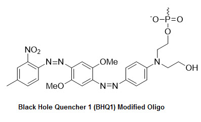 Bio-Synthesis Inc. Oligo Structure